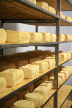 view of a maturing storehouse of cheese