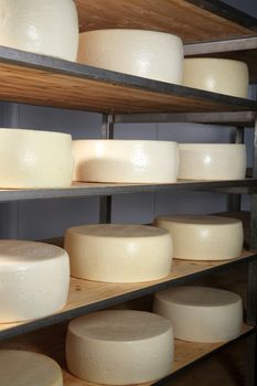 view of a maturing storehouse of cheese