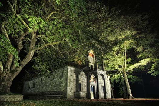 beautiful church surrounded by trees in a park