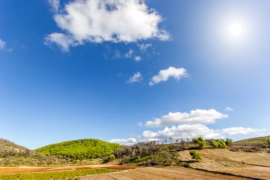 field with hills and trees on a sunny day