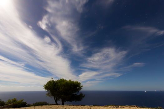 landscape at night with a tree and clouds at a full moon night