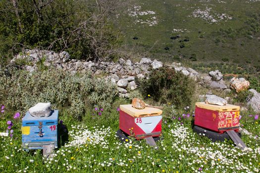 Colorful hives with bess in the greek nature 