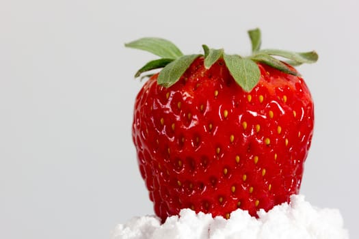 closeup of fresh strawberry on top of sugar powder 