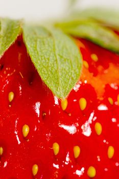 closeup of fresh strawberry on top of sugar powder 