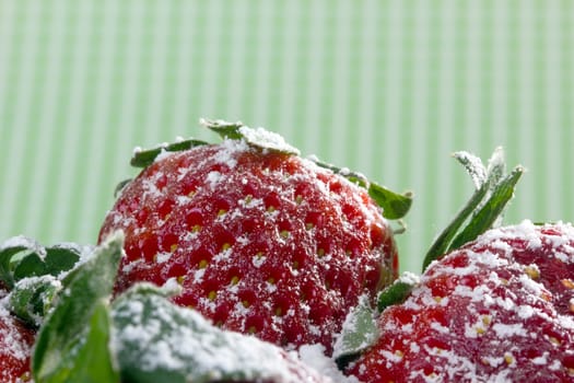 closeup of fresh strawberries with sugar powder on top 