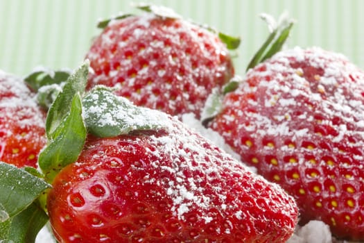 closeup of fresh strawberries with sugar powder on top 