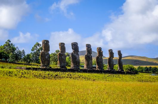 Moais statues, ahu Akivi, easter island, Chile