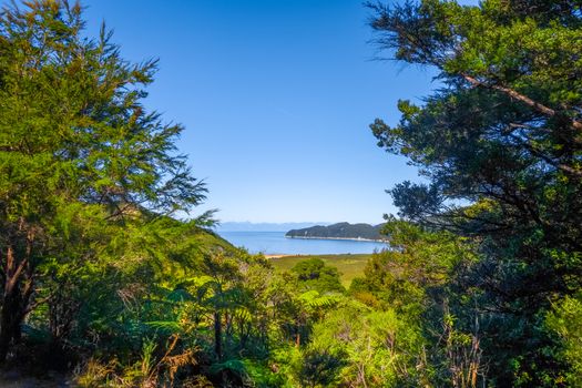 See view from Abel Tasman Coast Track in national park. New Zealand