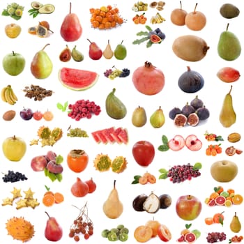 group of fruits in front of white background