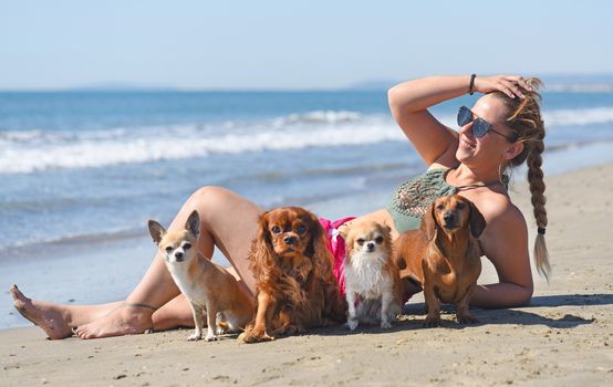 woman and dogs lying down on the beach