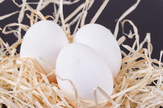 A lot of white chicken eggs in a bunch