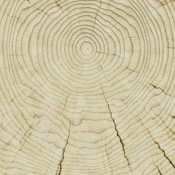 Illustration of a nice wooden background texture