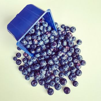 Blue square box full of big ripe blueberries.