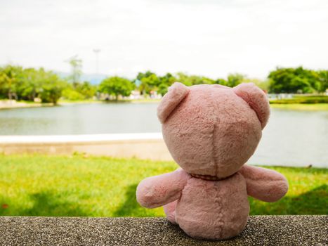 Pink bear doll relaxing in the park