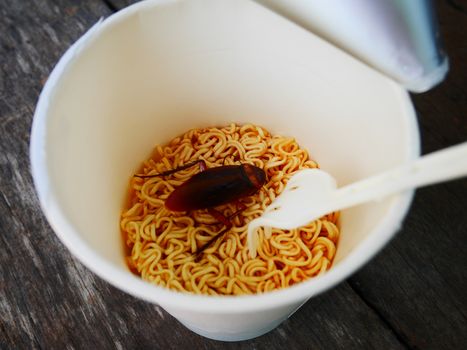 Cockroach want to eat noodle cup