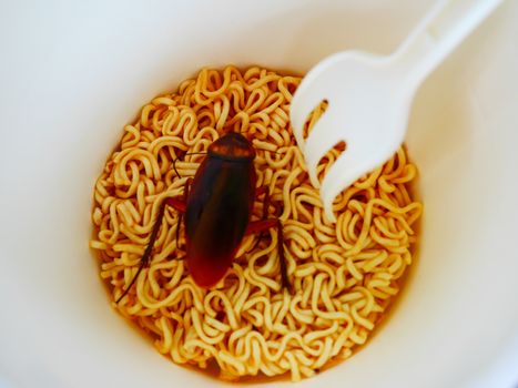 Cockroach want to eat noodle cup