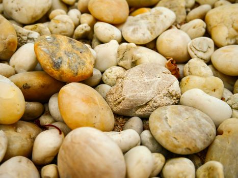 Brown rock background texture