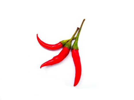 Three red chilli isolated on white background