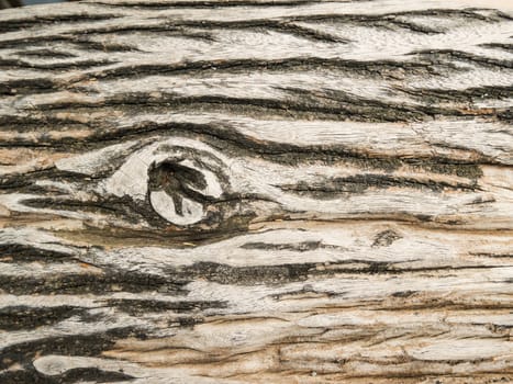 Old wood board background texture