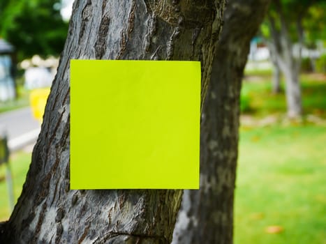 Close up green post note attach on old tree on blur grackground with copy space