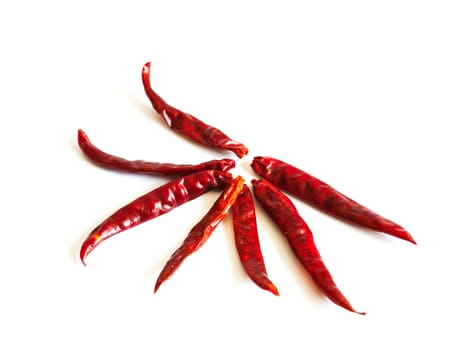 Close up dried chili on isolated white backgound