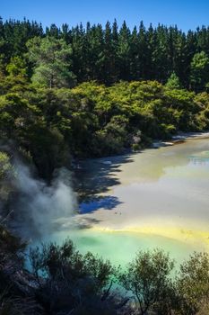 green lake in Waiotapu geothermal area, Rotorua, New Zealand