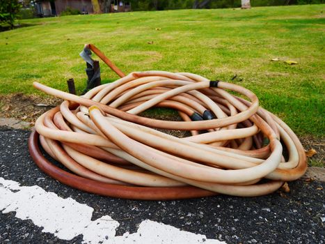 Close up old brown rubber tube in park