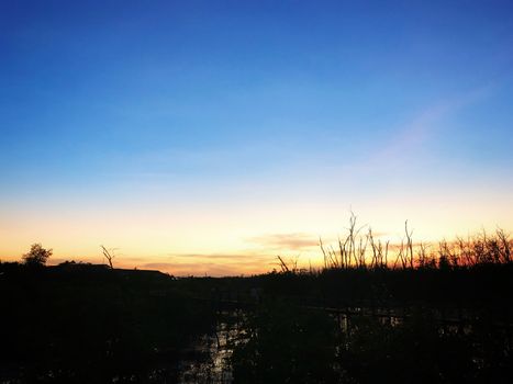 Beautiful sunset, cloud, dusk sky, silhouette in mangrove forest