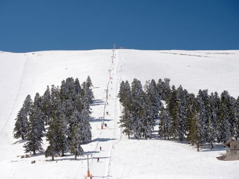 Kalavrita ski resort with trees on a sunny day