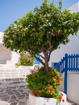 Taditional buildings in the street of a Greek island Paros