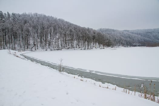 Winter in forest frozen lake