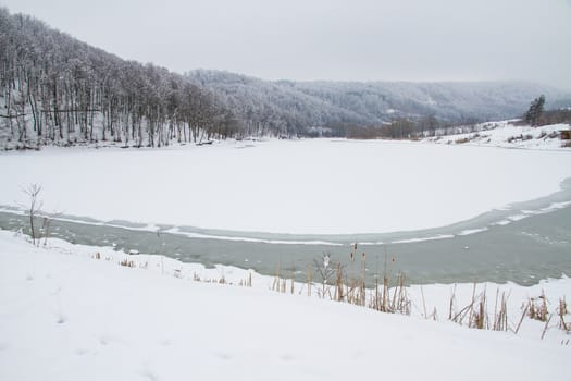 Winter in forest frozen lake