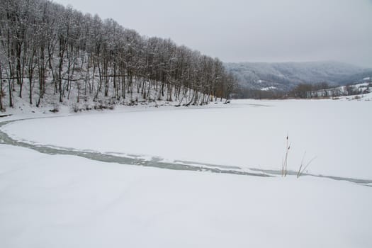 Winter in forest frozen lake