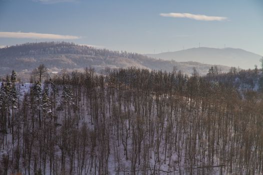 Beautiful winter landscape in the forest. Sunset