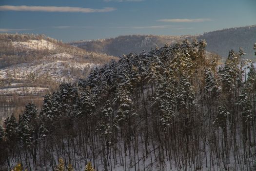 Beautiful winter landscape in the forest. Sunset