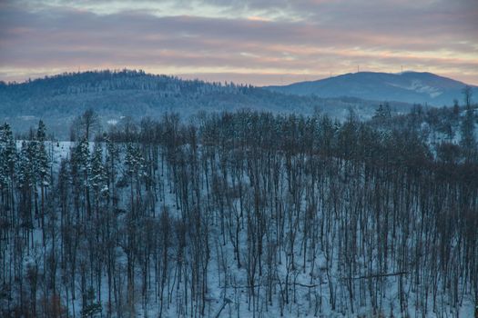 Beautiful winter landscape in the forest. Sunset