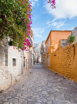 Traditional alley in the village of Aeropolis,
Laconia, Peloponnese, Greece