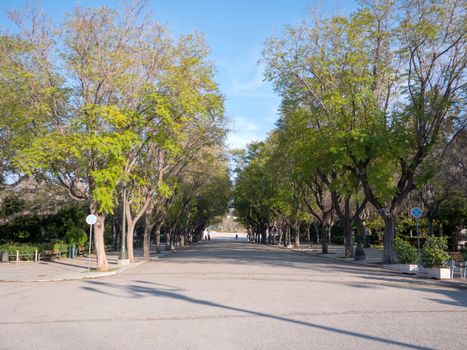 National garden in the historic center of Athens city, Greece