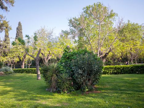 National garden in the historic center of Athens city, Greece