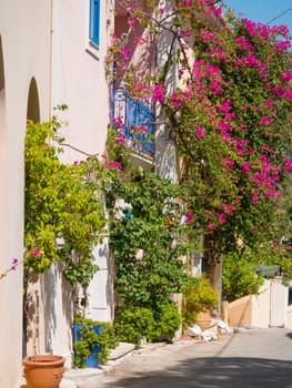 Exterior with flowers of a traditional greek house in Assos village in Kefalonia, Ionian Islands, Greece