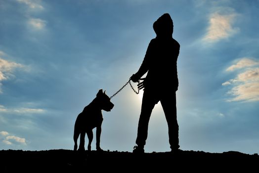 human silhouette walking his dog