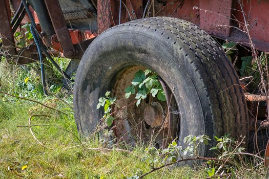 Close up of a rusty old abandoned trailer with peeling paint and wheel  with a flat tyre tire overgrown with vegetation
