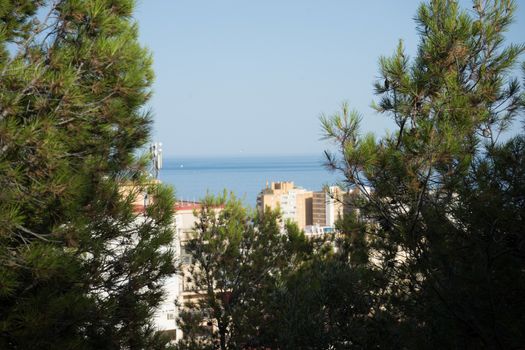 City skyline of Malaga overlooking the sea ocean in Malaga, Spain, Europe on a bright summer day with blue skies with trees