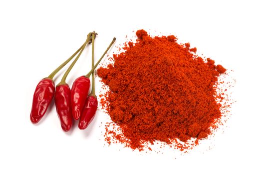 Red chili pepper with chili powder isolated over white