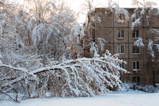 Winter background with branch tree under snow near old building