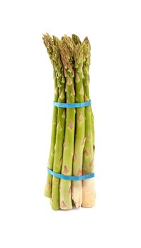 Close up fresh bundle bunch of garden green asparagus shoots standing isolated on white background, low angle side view