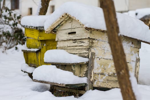 A pair of snow covered bee hives. Apiary in wintertime. Beehives covered with snow in wintertime. Beekeeping