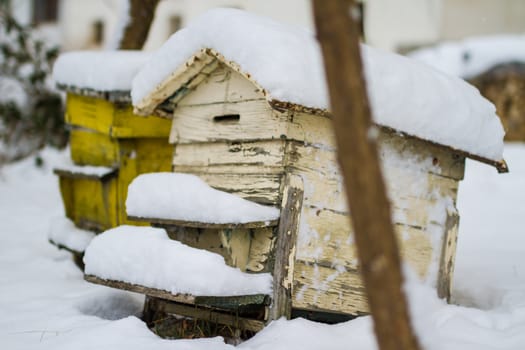 A pair of snow covered bee hives. Apiary in wintertime. Beehives covered with snow in wintertime. Beekeeping