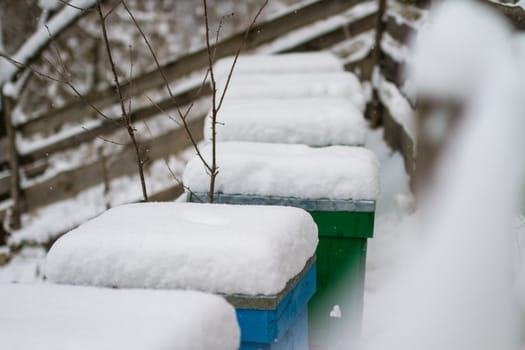 A pair of snow covered bee hives. Apiary in wintertime. Beehives covered with snow in wintertime. Beekeeping