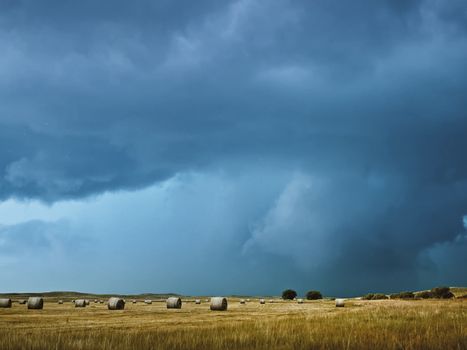 Bales of hay in the field. Overcast sky over haymaking.